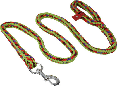 TommyChew SoftGrip Dog Everyday Collar(, Green, Red