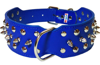 Petshop7 Spike Blue Leather 2 Inch Dog Everyday Collar(, Blue