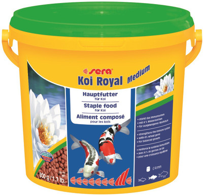 Sera Koi Royal Medium 800g | Staple Food For Koi | Strengthens The Immune System With 4% Wheat Germ For Optimal Development | 800 g Dry Fish Food
Sera Koi Royal Medium 800g | Staple Food For Koi | Strengthens The Immune System With 4% Wheat Germ For Optimal Development | 800 g Dry Fish Food