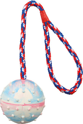 Trixie Ball on a Rope Rubber Tough Toy For Dog