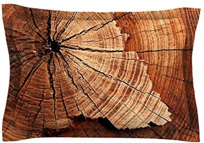 Kess InHouse Filled Size Pillow Protector