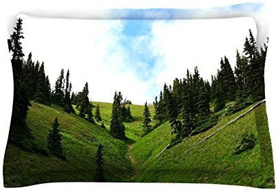 Kess InHouse Filled Size Pillow Protector