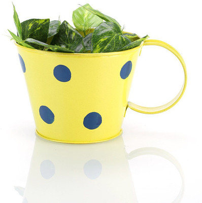 Green Girgit Plant Container Set(Metal)