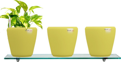 Yuccabe Italia Combo for 3 Stoic Yellow Self Watering planter Plant Container Set(Pack of 3, Plastic)
Yuccabe Italia Combo for 3 Stoic Yellow Self Watering planter Plant Container Set(Pack of 3, Plastic)
