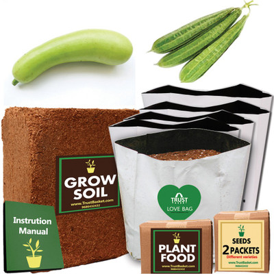 TrustBasket Economy Starter Growkit for Climber Vegetables (Ridge gourd,Bottle gourd) Plant Container Set(Plastic)
TrustBasket Economy Starter Growkit for Climber Vegetables (Ridge gourd,Bottle gourd) Plant Container Set(Plastic)