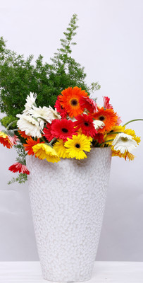 AGRILABH HOME & KITCHEN GARDEN Plant Container(Plastic, External Height - 45 cm), White
AGRILABH HOME & KITCHEN GARDEN Plant Container(Plastic, External Height - 45 cm), White
