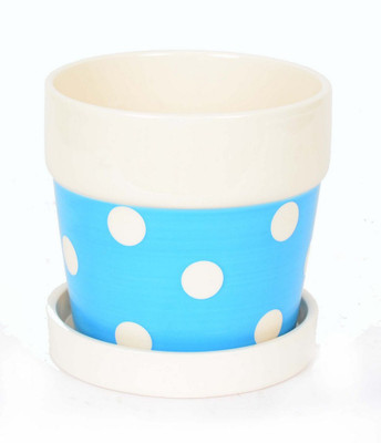 Scrafts Polka Dot With Tray - Bl Plant Container(Ceramic, External Height - 12.5 cm), Blue
Scrafts Polka Dot With Tray - Bl Plant Container(Ceramic, External Height - 12.5 cm), Blue