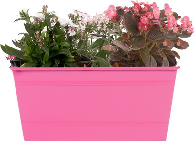 TrustBasket Rectangular Railing Planter - Magenta (12 Inch) Plant Container(Metal, External Height - 13.97 cm), Pink
TrustBasket Rectangular Railing Planter - Magenta (12 Inch) Plant Container(Metal, External Height - 13.97 cm), Pink