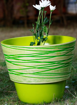 AGRILABH HOME & KITCHEN GARDEN Plant Container(Plastic, External Height - 31.4 cm), Yellow
AGRILABH HOME & KITCHEN GARDEN Plant Container(Plastic, External Height - 31.4 cm), Yellow