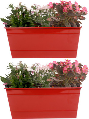 TrustBasket Set of 2 - Rectangular Railing Planter-Red Plant Container(Metal, External Height - 13.97 cm)
TrustBasket Set of 2 - Rectangular Railing Planter-Red Plant Container(Metal, External Height - 13.97 cm)
