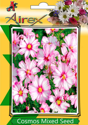 Airex Cosmos Mixed Seed(80 per packet)