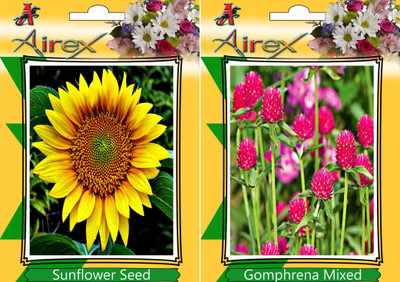 Airex Sunflower, Gomphrena Mixed Seed(15 per packet)