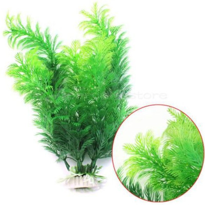 Priyathams Imported Beautiful Aquarium Green Gras Seed(50 per packet)