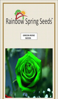 Rainbow Spring Seeds Rose Seed(50 per packet)