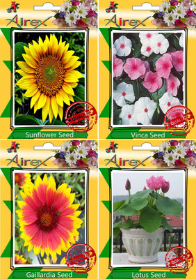 Airex Sunflower,Vinca,Gaillardia and Lotus Seed(25 per packet)