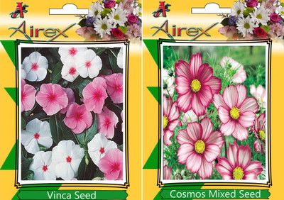 Airex Vinca and Cosmos Mixed Seed(20 per packet)