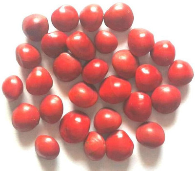 Seedbazaar Rakt Chandan Seed(500 per packet)