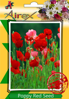 Airex Poppy Red Winter Flower Seed(25 per packet)