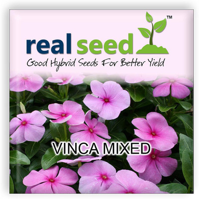 Real Seed Vinca Mixed Seed(50 per packet)