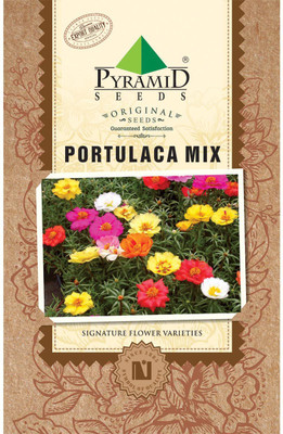 PYRAMID SEEDS Portulaca Mix Seed(200 per packet)