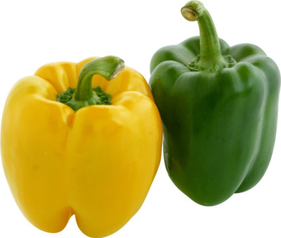Farm Seeds Capsicum Seed(100 per packet)