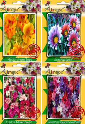 Airex Nasturtium Mixed, Gazania, Clarkia Mixed, Sweet Peas Spencer Mixed Seed(30 per packet)
Airex Nasturtium Mixed, Gazania, Clarkia Mixed, Sweet Peas Spencer Mixed Seed(30 per packet)