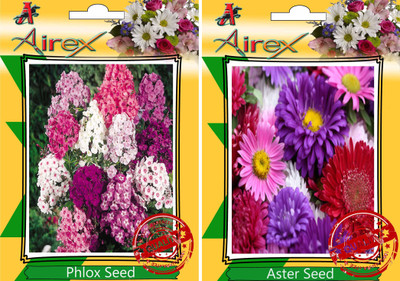 Airex Phlox, Aster Seed(20 per packet)