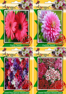 Airex Daisy, Dahlia, Sweet Peas Spencer Mixed, Sweet William Mixed Seed(30 per packet)
Airex Daisy, Dahlia, Sweet Peas Spencer Mixed, Sweet William Mixed Seed(30 per packet)