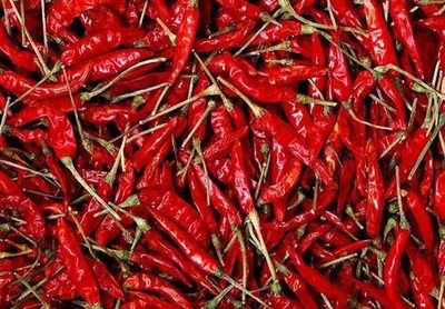 National Gardens Indian Hot Pepper / Chilli Seeds by National Gardens Seed(100 per packet) 
National Gardens Indian Hot Pepper / Chilli Seeds by National Gardens Seed(100 per packet)