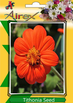 Airex Tithonia Seed(120 per packet)