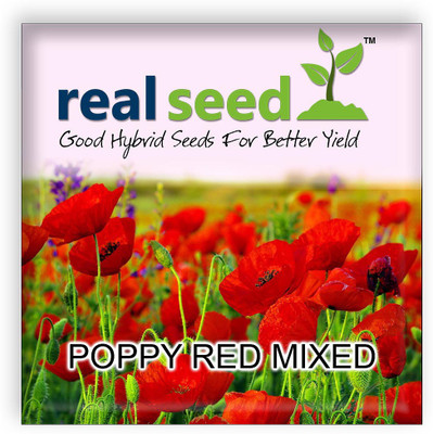 Real Seed Poppy Red Seed(100 per packet)