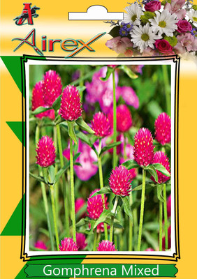 Airex Gomphrena Mixed Seed(150 per packet)