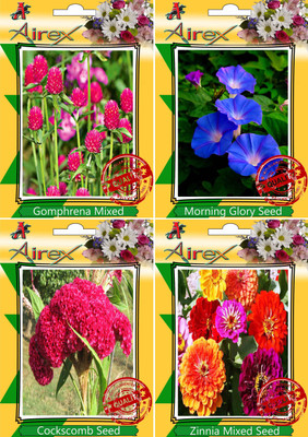 Airex Gomphrena Mixed,Morning Glory,Cockscomb and Zinnia Mixed Seed(20 per packet)