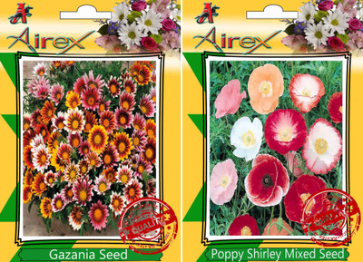 Airex Gazania, Poppy Shirley Mixed Seed(20 per packet) 
Airex Gazania, Poppy Shirley Mixed Seed(20 per packet)