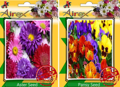 Airex Aster, Pansy Seed(30 per packet)