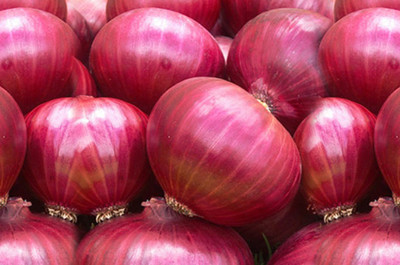 Raunak Seeds Onion Seed(50 per packet)