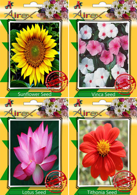 Airex Sunflower,Vinca,Lotus Seed(20 per packet)