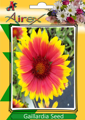 Airex Gaillardia Seed(40 per packet)