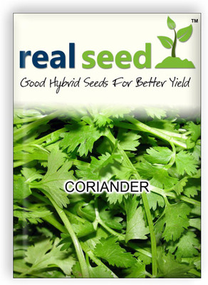 Real Seed Coriander Seed(50 Per Packet)