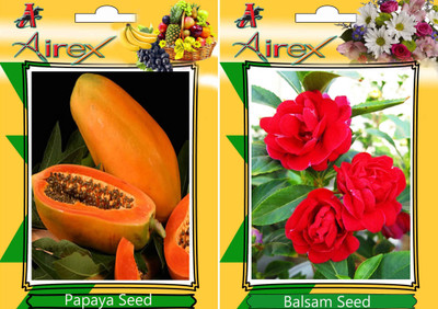 Airex Papaya and Balsam Seed(25 per packet)
