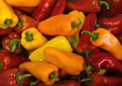 Amir Enterprises Pepper Seed(20 Per Packet)