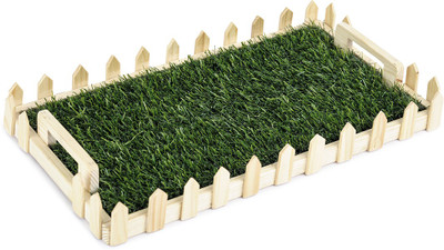 PoppadumArt Central Park Small Tray