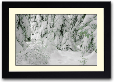 Heavy Snowfall in Forest Fine Art Print(14 inch X 20 inch, Framed)