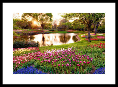 Myimage Beautiful Natural Scene Digital Printing Framed Poster (13.0 inch x 19.0 inch) Paper Print(13 inch X 19 inch, 1 Framed Poster)
Myimage Beautiful Natural Scene Digital Printing Framed Poster (13.0 inch x 19.0 inch) Paper Print(13 inch X 19 inch, 1 Framed Poster)