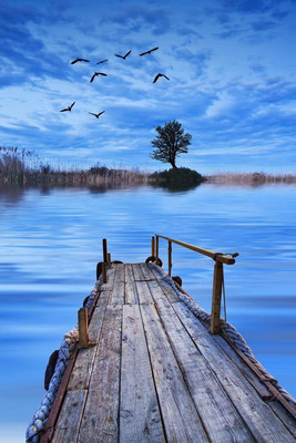 Nature Fine Art Print(24 inch X 16 inch, Rolled)
