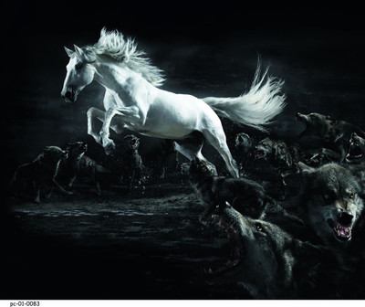 Posterhouzz Poster - Black Houre 35 Fine Art Print(18 inch X 12 inch, Rolled)