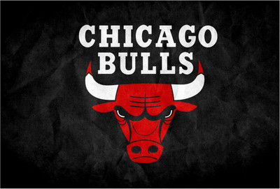 Chicago Bulls Photographic Paper(13 inch X 19 inch, Rolled)