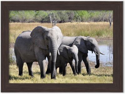 Elephants Nature Themed Framed Poster Photographic Paper(13.5 inch X 10 inch, Box Packing)
Elephants Nature Themed Framed Poster Photographic Paper(13.5 inch X 10 inch, Box Packing)