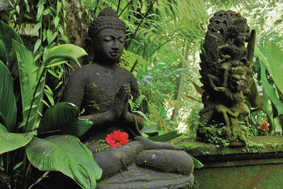 Nice Budha Paper Print(12 inch X 18 inch, Rolled)