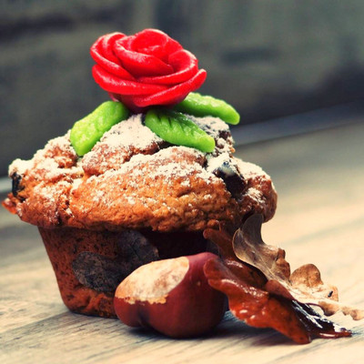 Tallenge Christmas Collection - Muffin - Framed Photo Print For Gifting And Home And Office Décor On Photographic Paper(12 inch X 12 inch, Framed)
Tallenge Christmas Collection - Muffin - Framed Photo Print For Gifting And Home And Office Décor On Photographic Paper(12 inch X 12 inch, Framed)